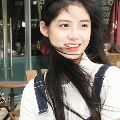 小象守护者